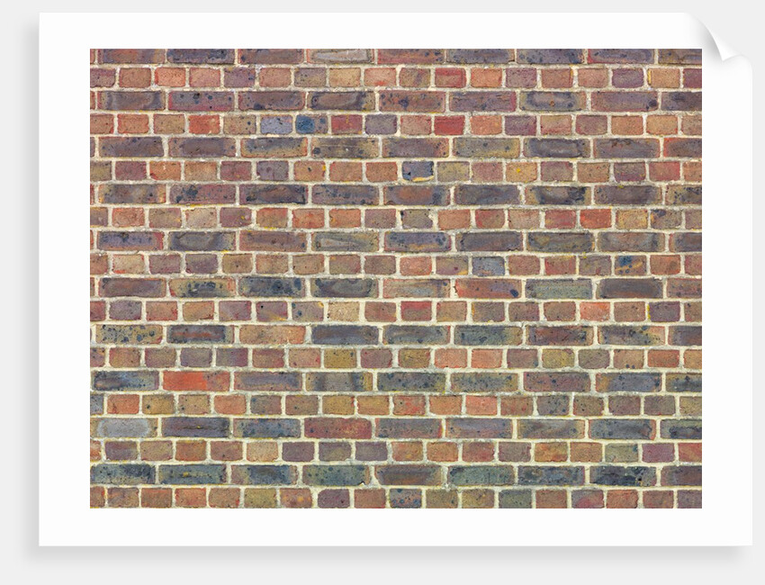Brickwall by Assaf Frank